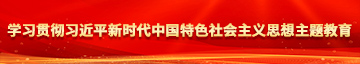 骚穴鸡吧在线看学习贯彻习近平新时代中国特色社会主义思想主题教育